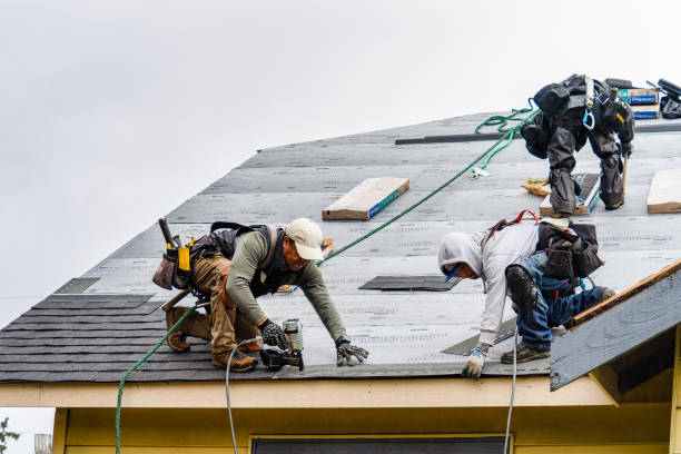 Professional Roofing technician working in Viola, ID